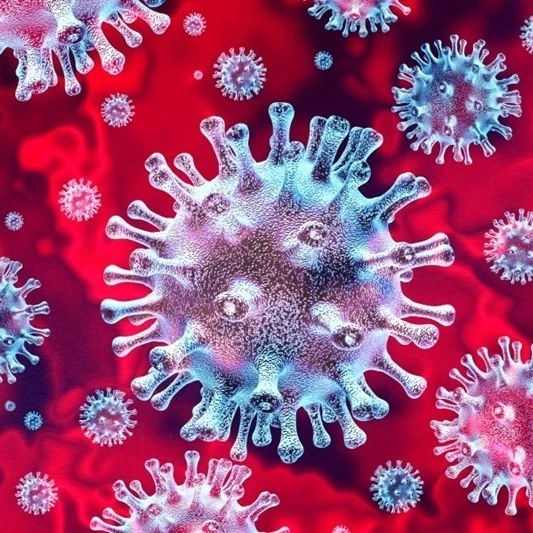 Corona virus