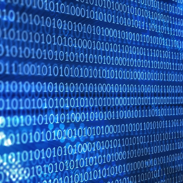 Shutterstock 153372539