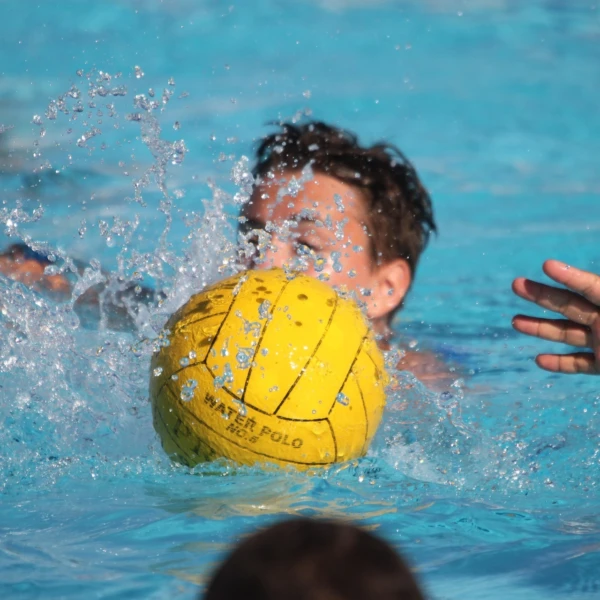 Water polo 3519614 1920