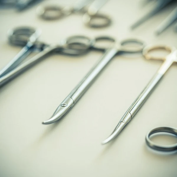 Shutterstock 220331044 klein