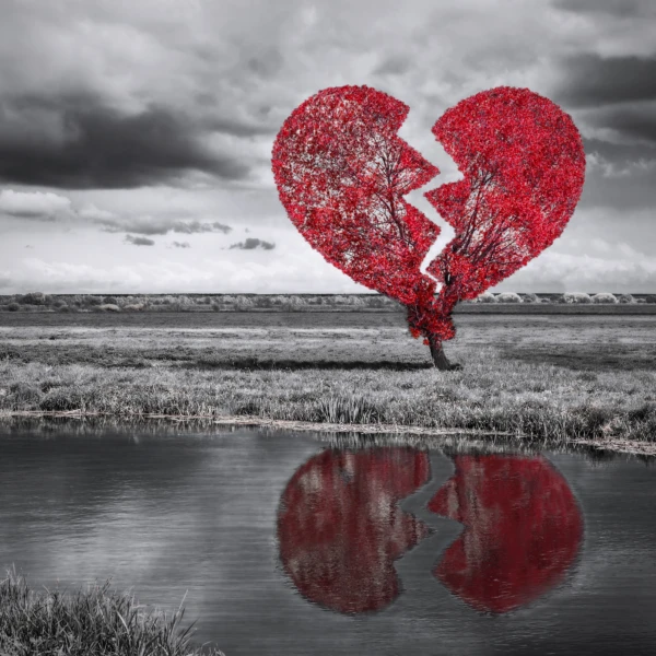 Shutterstock 128900630