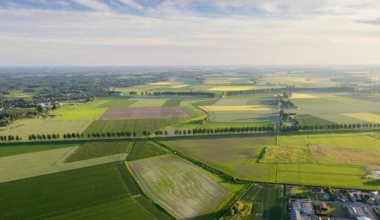 Shutterstock 212012167