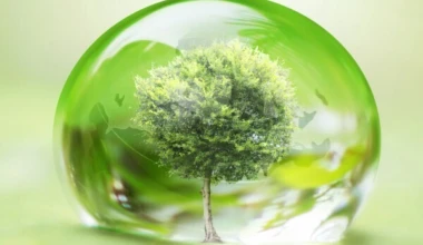 Shutterstock 149617484 e1433772205169