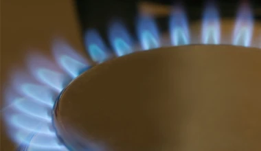 Shutterstock 175350302 e1596135222555