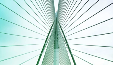 Corporate commercial litigation