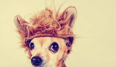 Shutterstock 207171637