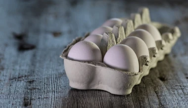 Eggs 3183410 960 720