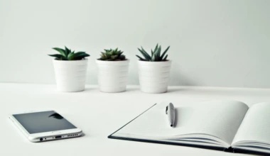 Pexels ylanite koppens 796602