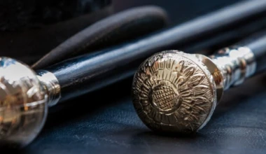 Walking Sticks e1428083840696