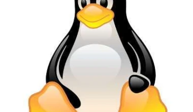 Linux open source