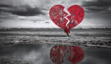 Shutterstock 128900630