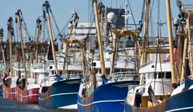 Shutterstock 75322468