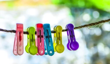 Stockvault clips148580