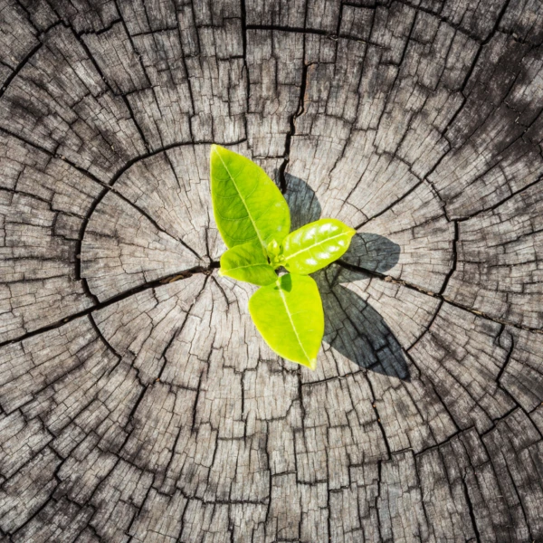 Groene keuzes voor je personeel