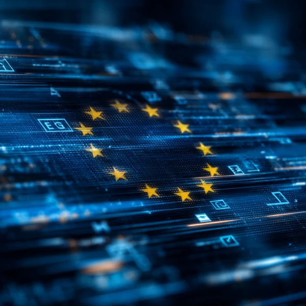 Digitale Omnibus uitgelegd