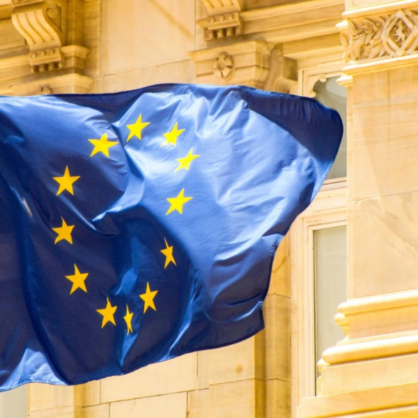 Pexels lammycz 36279694