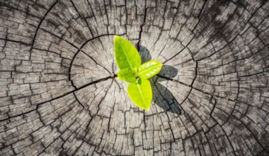 Groene keuzes voor je personeel