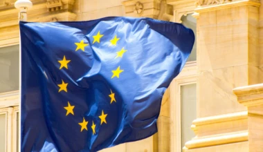 Pexels lammycz 36279694