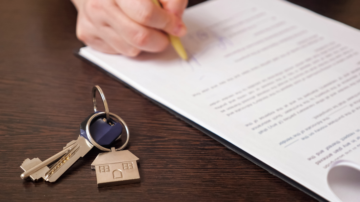 Hoe geliefd zijn verhuurders van woningen nog in Den Haag? | Holla